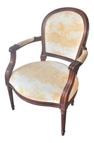 Louis the XVI Arm Chair in Yellow French Chinoiserie