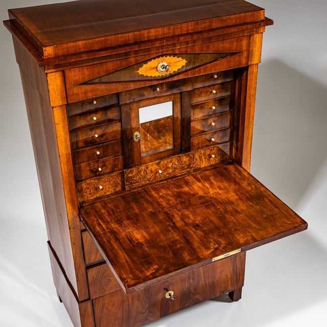 Antique Biedermeier Secretaire, Austria, 1820 For Sale - Image 13 of 16