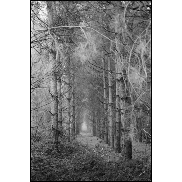 Not Yet Made - Made To Order Paul Cooklin, Scan 20211222 89, Edition of 50 For Sale - Image 5 of 5