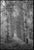Not Yet Made - Made To Order Paul Cooklin, Scan 20211222 89, Edition of 50 For Sale - Image 5 of 5