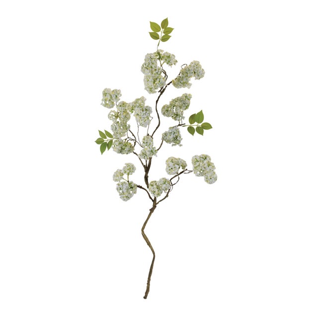 Add a touch of natural elegance to your space with this White Floral Branch Set. Featuring clusters of soft white blossoms...