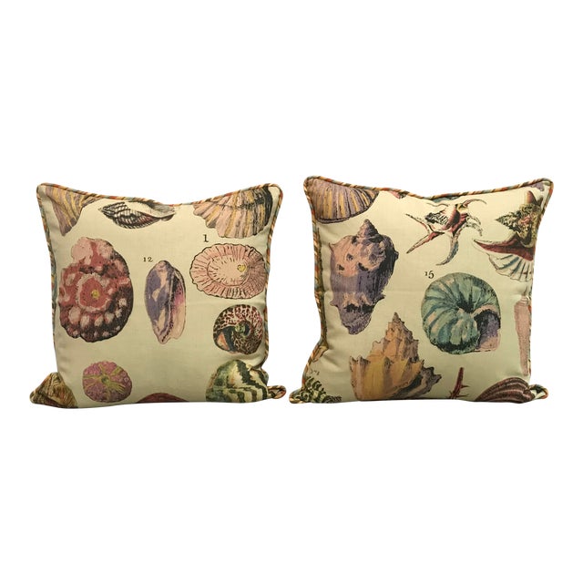Specimen Sea Shell Print Decorative Throw Pillows a Pair Chairish