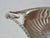 Vintage Barker & Ellis English Silver Plate Gravy Boat For Sale - Image 10 of 18