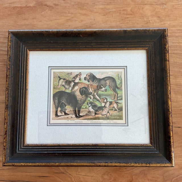 Antique 1889 Chromolithograph Hunting Dogs Foxhound Spaniel Framed For Sale In Los Angeles - Image 6 of 12