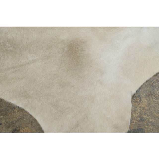 Beige Rug & Kilim’s Contemporary Cowhide Rug in Warm Beige & Brown Tones For Sale - Image 8 of 8