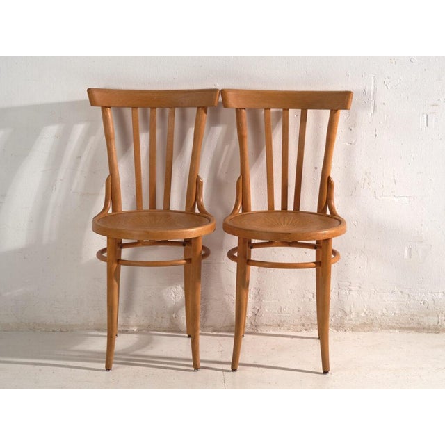 Bentwood Chairs in the style of Thonet, Central Europe, 1930, Set of 4 For Sale - Image 4 of 15