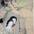 Chinese Scroll Woodblock Print “Zhong Youshi's Beautiful Women” - 1957 For Sale In Phoenix - Image 6 of 11