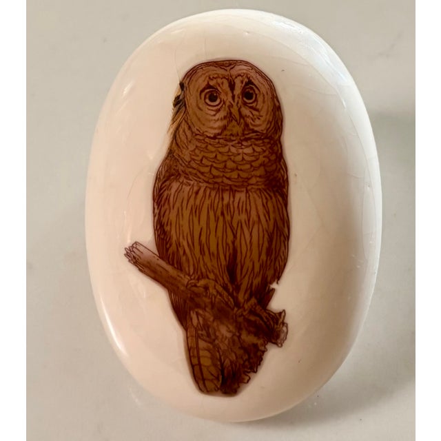 Vintage Illustrated Brown Barred Owl Oval Ceramic Paperweight For Sale - Image 4 of 4