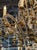 Traditional Vintage Italian Beaded and Amber Chandelier For Sale - Image 3 of 11