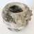 Boho Chic Terra Cotta Shell Cachepot For Sale In Los Angeles - Image 6 of 11