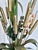 French Country Tole Botanical Five-Light Chandelier with Cattails and Flowers, 1960s For Sale - Image 14 of 17