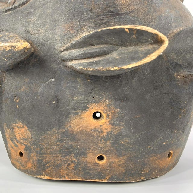 Black Early 20th Century Senufo Firespitter Helmet Mask Côte d'Ivoire For Sale - Image 8 of 9