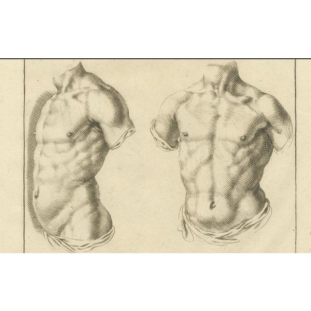 After De Lairesse, Male Torso Studies, 1745, Paper For Sale - Image 4 of 10