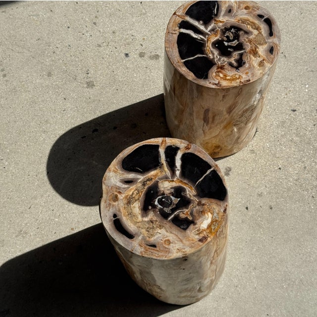 Multicoloured Petrified Wood Side Table For Sale - Image 5 of 16