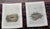 Realism Antique 19th Century Hand Colored Bird Nest & Egg Lithographs - Set of 12 For Sale - Image 3 of 9