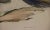 Printmaking Materials Three Gould Hand-Colored Lithographs From Birds of Australia and New Zealand, 1840-1848 For Sale - Image 7 of 12