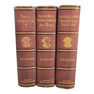 19th Century Antique Charles Dickens Leather Bound Books- Set of 3 For Sale
