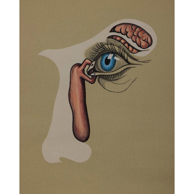 1970s Vintage School Poster the Eye and Its Functions from Lehrmittelverlag Wilhelm Hagemann, 1970s For Sale - Image 5 of 15
