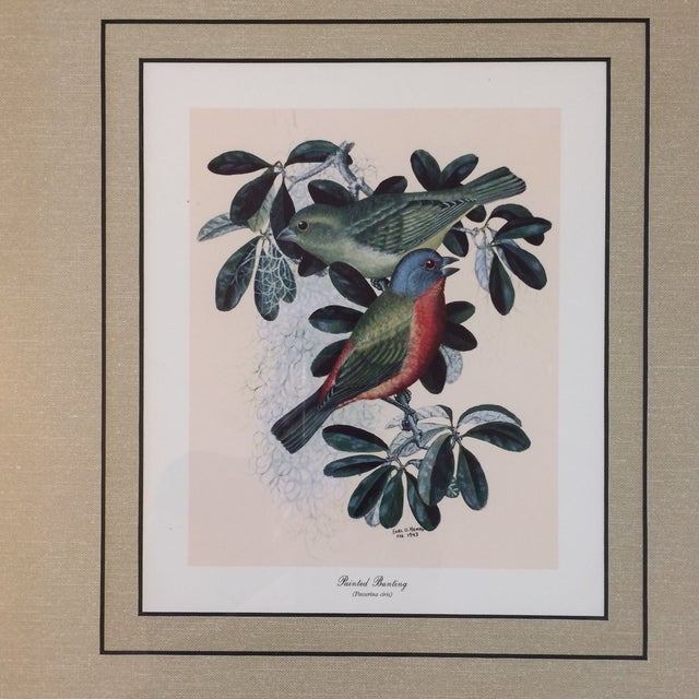 Vintage Earl O Henry Bird Prints 4 Framed Prints Chairish