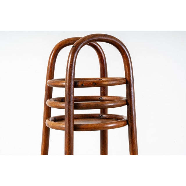 Brown Beech Pedestal from Jacob & Josef Kohn, 1890s For Sale - Image 8 of 16