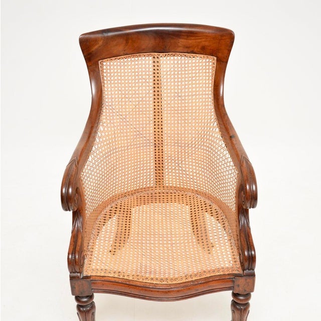 Brown Antique William IV Cane and Leather Armchair, 1830s For Sale - Image 8 of 11