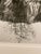 Black Late 20th Century Robert "Bob" Werling Black & White Photograph Merced River Yosemite Valley California, Student of Ansel Adams For Sale - Image 8 of 12