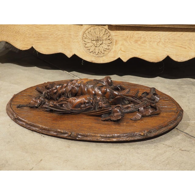 19th Century French Oval Black Forest Game Plaque With Bark Trompe L’Oeil For Sale - Image 10 of 12