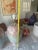 1980’s Postmodern Iredescent Pastel Drip Glaze Monolith Lamps by Sunset For Sale In Los Angeles - Image 6 of 10