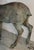 Bronze 20th Century Bronze Deer Statue W/ Amazing Patina For Sale - Image 8 of 8