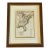 Juan Lopez Antique Colored Engraving "Estados Unidos De America" Circa 1800 For Sale