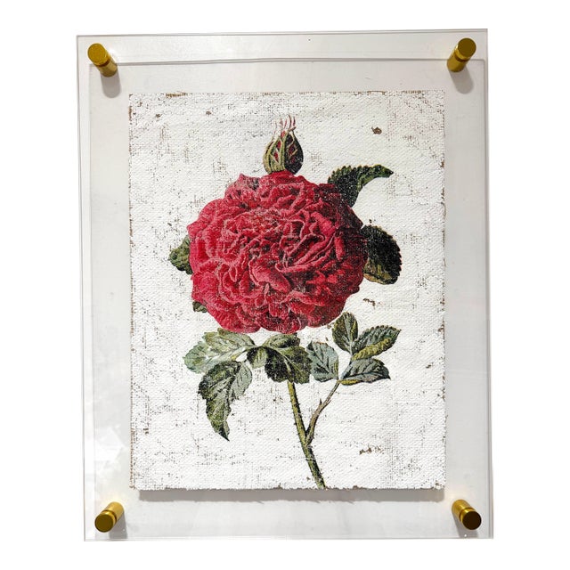 Red Garden Rose - Hand Textured Vintage Rose For Sale
