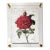 Red Garden Rose - Hand Textured Vintage Rose For Sale