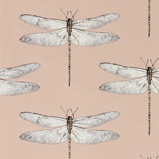 Harlequin Demoiselle Wallpaper in Positano/First Light/Taupe For Sale