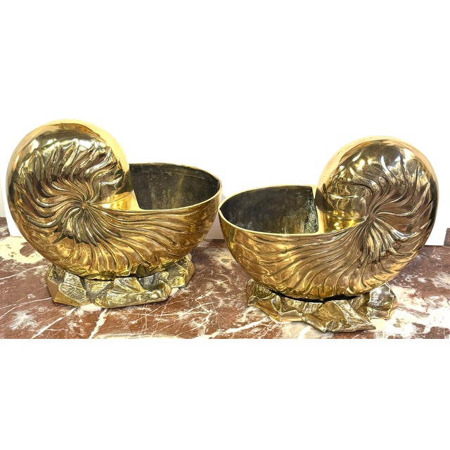 Metal Large Pair Polished Brass Nautilus Shell Vase by Sarreid, Spain, Circa 1970s For Sale - Image 7 of 10