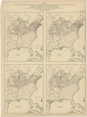 Antique Chart of the US Irish and German Population in 1870