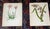 Realism Authentic Antique 19th Century Anne Pratt Botanical Chromolithographs - Set of 12 For Sale - Image 3 of 10