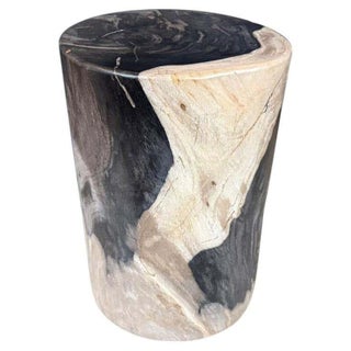Andrianna Shamaris Modern Organic Super Smooth Petrified Wood Side Table For Sale