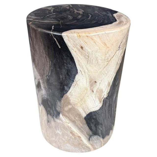Andrianna Shamaris Modern Organic Super Smooth Petrified Wood Side Table For Sale