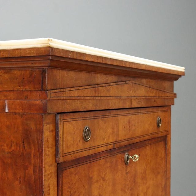 Brown Biedermeier Secretary in Lemonwood and Ebony For Sale - Image 8 of 16