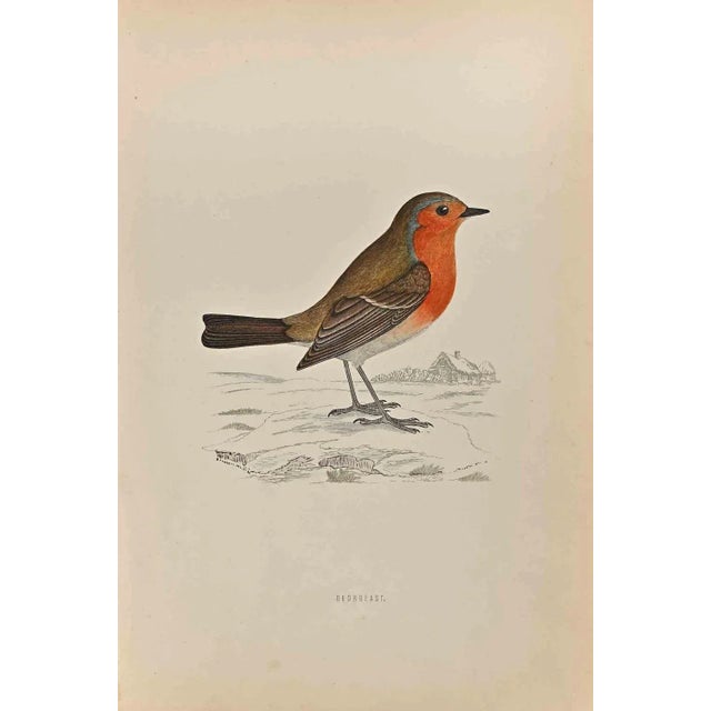 Redbreast is a modern artwork realized in 1870 by the British artist Alexander Francis Lydon (1836-1917) . Woodcut print,...