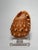 Coastal Red Helmet Tabletop Shell With Lucite Stand For Sale In Houston - Image 6 of 11
