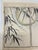 Set of 2 vintage prints, 1953, Beechhurst Press, New York. Chinese color prints from Mustard Seed Garden. Ready for...