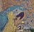Ivory Montague Hall –Exotic Parrots and Floral Still Life – Early 20th Century Oil Painting For Sale - Image 8 of 12