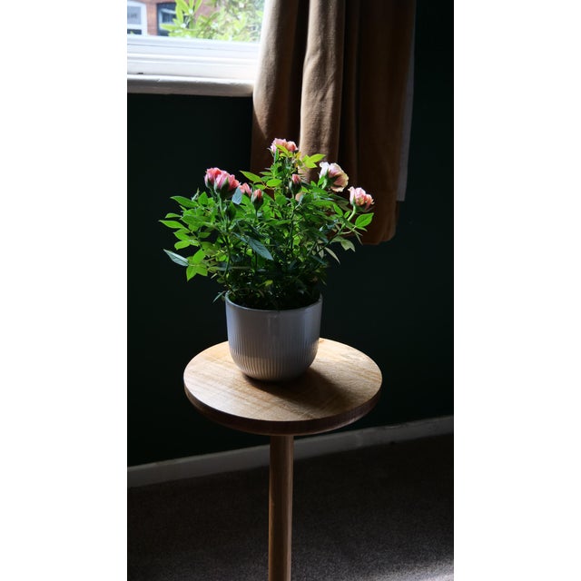 Circulo Side Table in Natural Oak by Goldfinch Brookes Furniture For Sale - Image 4 of 10