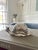 1960s Vintage Silver Plated Snail Caviar or Butter Dish For Sale - Image 5 of 6