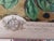 1700's Butterfly Natural History Engravings Reproductions in Contemporary Mirror Frames For Sale - Image 11 of 14