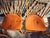 American Set of 8 Stickley Solid Cherry Colonial Spindle Back Chairs For Sale - Image 3 of 8