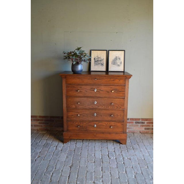 Antique Oak and Pine Chest of Drawers For Sale - Image 10 of 10