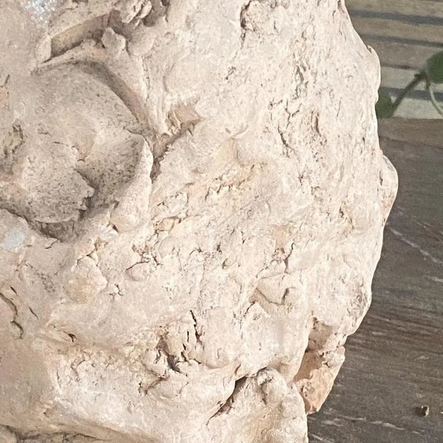 Terracotta Sculpture of Woman's Head, France, 20th Century For Sale - Image 3 of 11