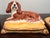 Italian Pair of Italian Porcelain Cavalier King Charles Spaniel Figurines For Sale - Image 3 of 11